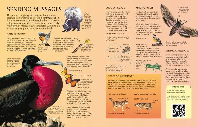 Usborne Science Encyclopedia Zubair Books Collection
